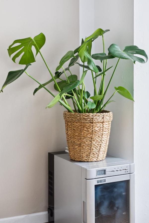 Arbio I 1a & Prenzlauerberg Apartament